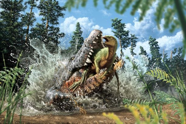 Reconstrucción artística de un Confractosuchus devorando un evento de ornitópodo.