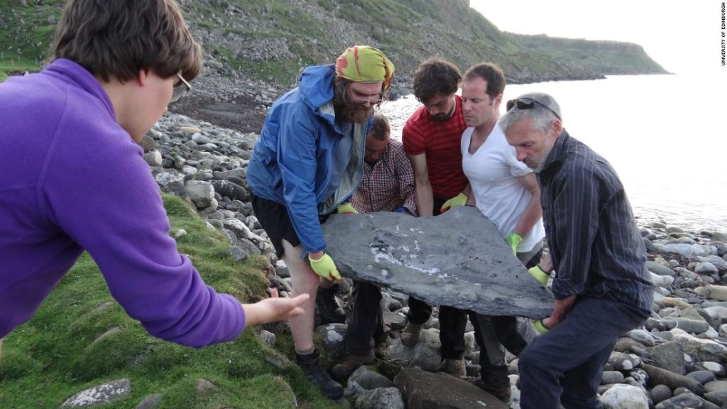 Fósil de un reptil volador gigante descubierto en una isla escocesa
