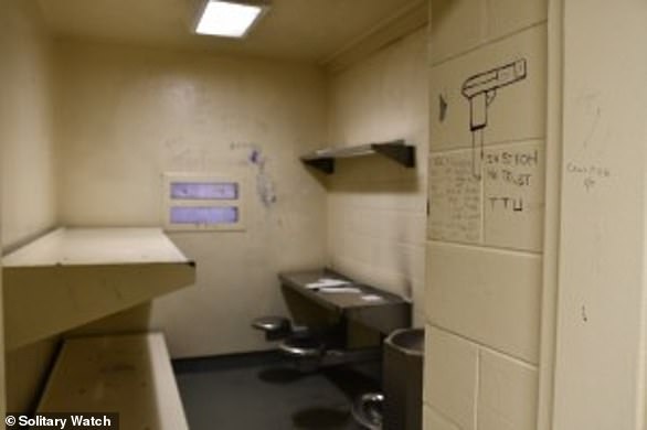 Lo peor de la prisión: la celda de aislamiento en la cárcel del condado de Cook.  Es poco probable que Josie sea colocada en una de estas celdas.