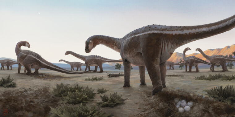 Un lugar de anidación de titanosaurio fue encontrado en Brasil