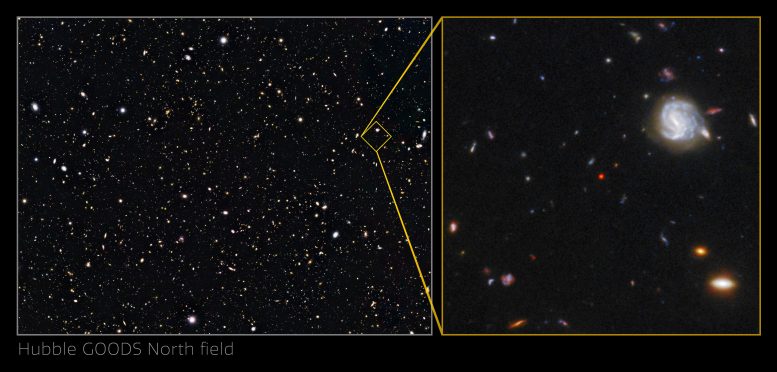 GNz7q in the Hubble GOODS-North field