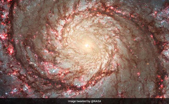 La NASA comparte una hermosa imagen de la galaxia del vórtice, Internet dice que ‘no puede desviar los ojos’