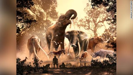 Los elefantes modernos han escapado del antiguo cambio climático.  No había más de 180 otras especies, incluidos los mastodontes.