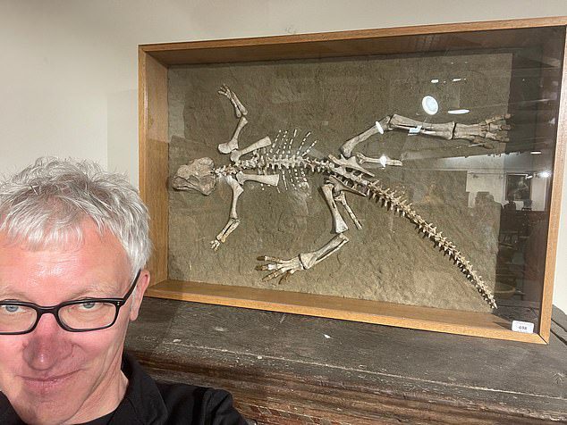 El hombre de 54 años (en la foto Tom Holland) acudió con su padre a la venta en Woolley & Wallis, de Salisbury, Gales, para hacer una presentación sobre el esqueleto de un Psittacosarus (lagarto loro) de 97,5 a 119 millones de años.