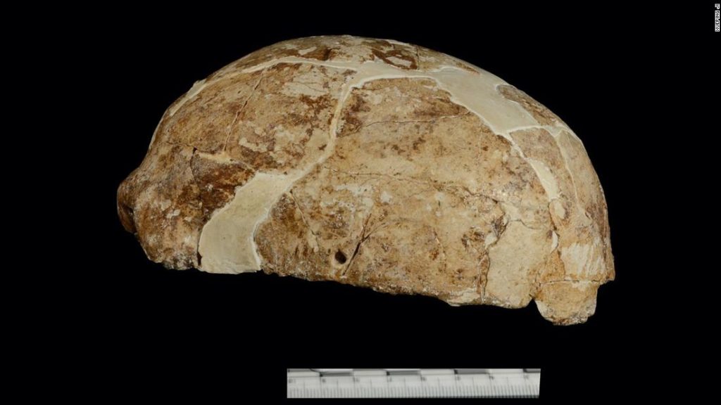 El análisis de ADN reveló la identidad de los misteriosos fósiles encontrados en una cueva china