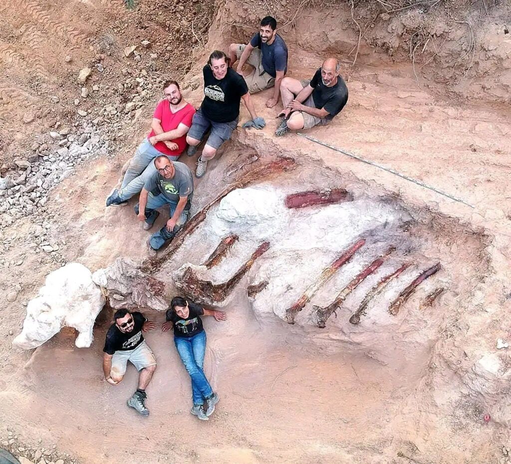 En agosto, los paleontólogos recolectaron costillas de 10 pies de largo.  