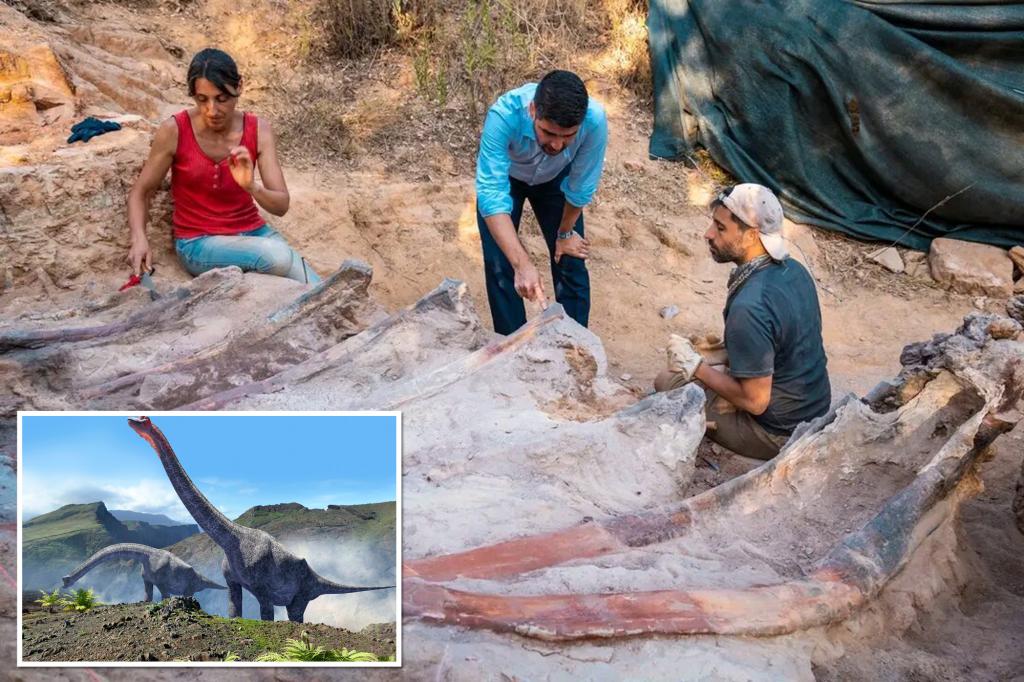 Hallan esqueleto de dinosaurio de 25 metros de alto en el patio trasero de un hombre en Portugal