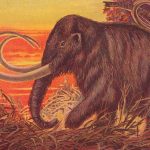 El mamut lanudo regresa.  ¿Deberíamos comerlos?