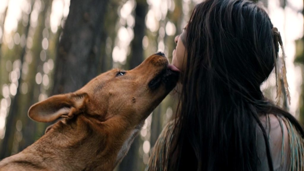 La actriz canina en Prey fue adoptada especialmente para la película, y fue un 'lío caliente'