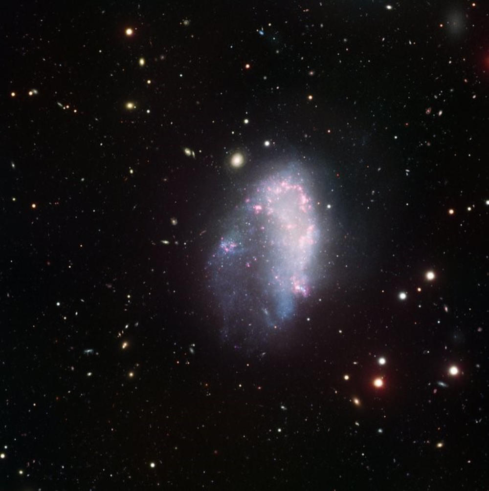 Dwarf Galaxy NGC1427A