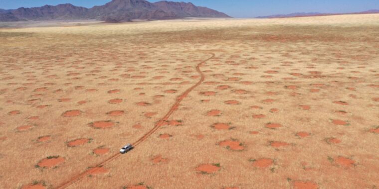 El mito, desmentido: la formación de círculos imaginarios de Namibia no es causada por termitas