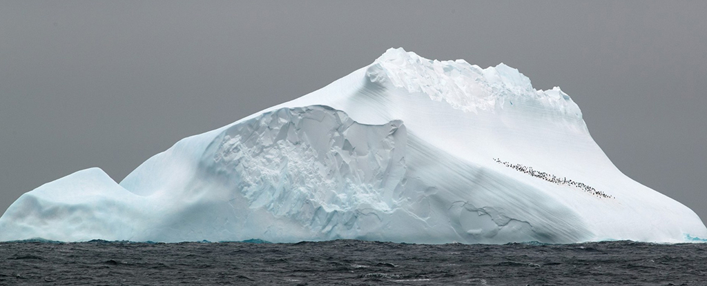 ADN antiguo descubierto hace 1 millón de años en la Antártida: ScienceAlert
