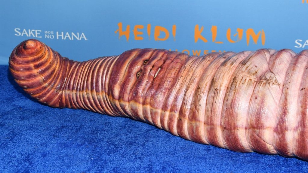 Heidi Klum irreconocible con un elaborado disfraz de gusano gigante en una fiesta de Halloween en Nueva York