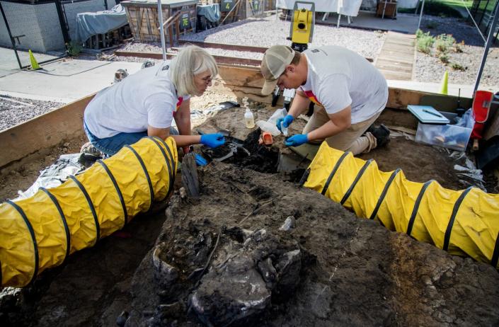 Dos personas arrodilladas en el suelo cuidadosamente excavaron fósiles