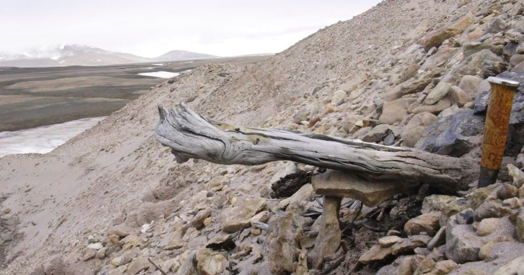 El ADN más antiguo revela vida en Groenlandia hace dos millones de años