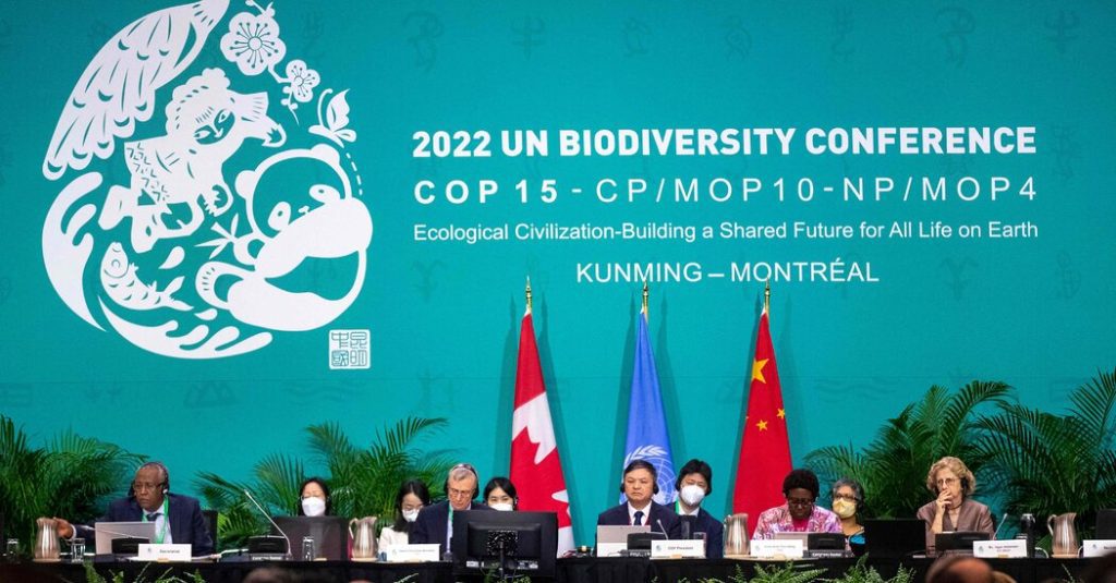 COP15 Charlas sobre biodiversidad: inscriba a los países en el plan de conservación '30x30'
